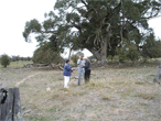 Rebecca lamb, Jim and Gordon looking at the map